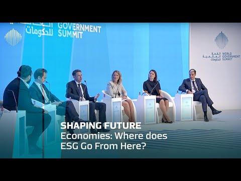 Where does ESG Go From Here?